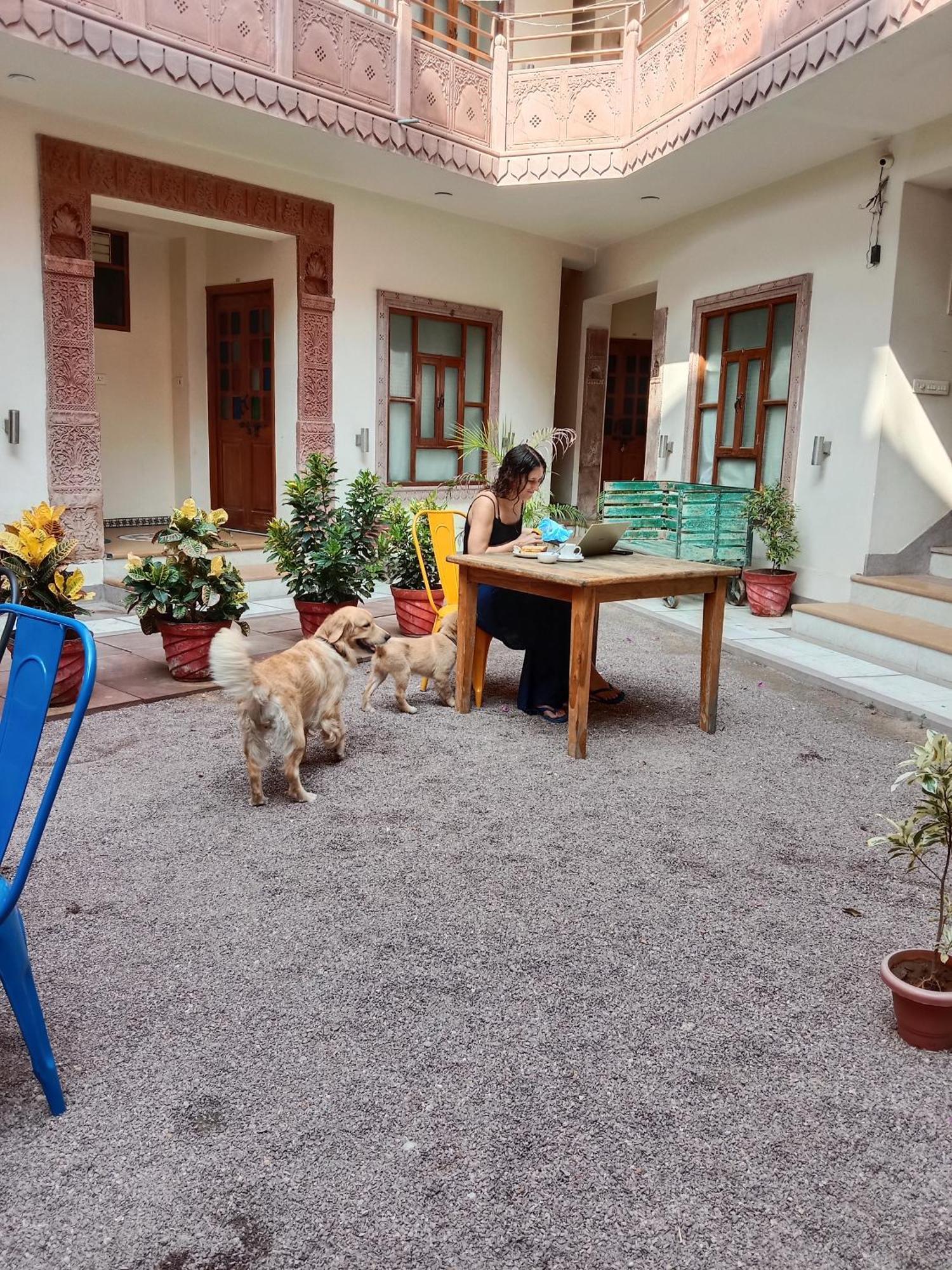 Rigmor Haveli Hotell Jodhpur  Exteriör bild